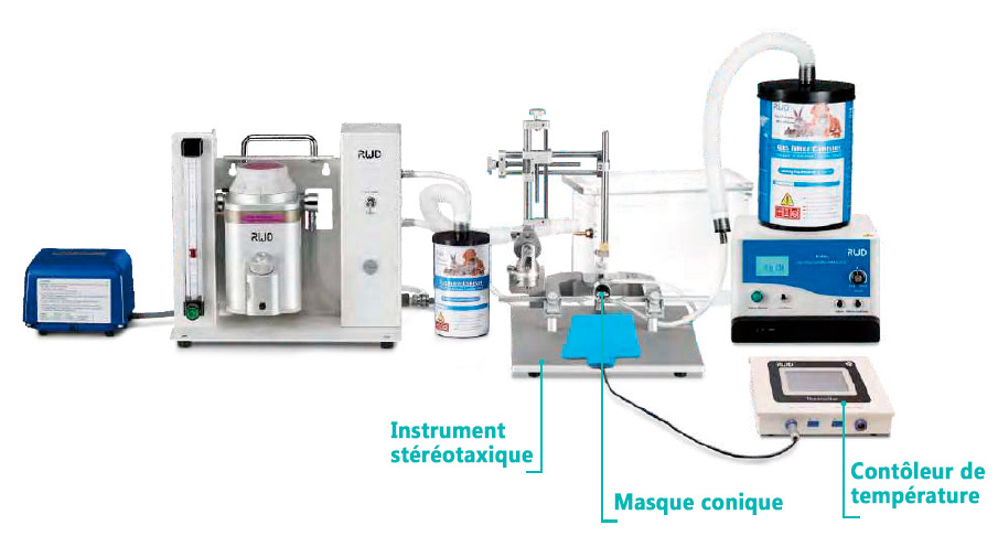 Solution anesthesie stéréotaxique