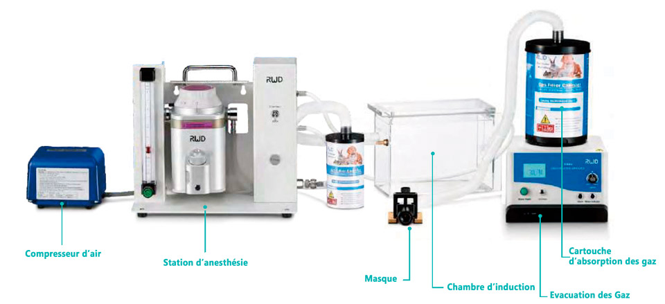 Solution anesthesie multifonction