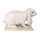 modèle lapin 3D