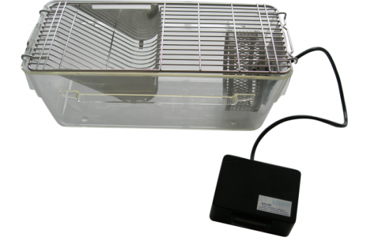 Mini roue d'activité avec compteur