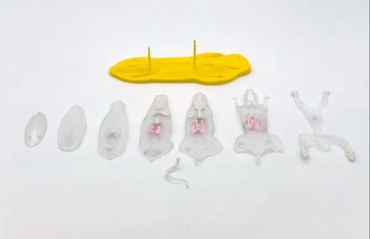 Modèle sectionnel 7 couches de 5mm