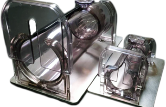 Modèles rat et souris