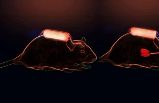 Exemples d'utilisation