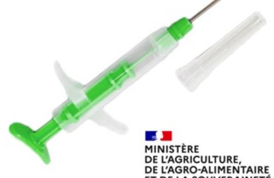 TAM-M Carnivores domestiques