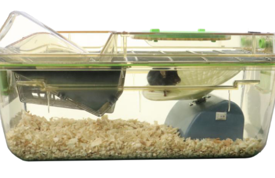 Roue d'exercice inclinée