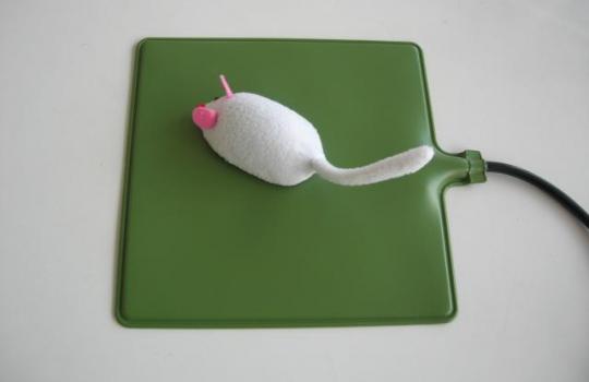 Heating mat mice
