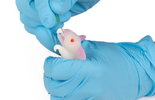 Souris modèle de simulation injection bouche