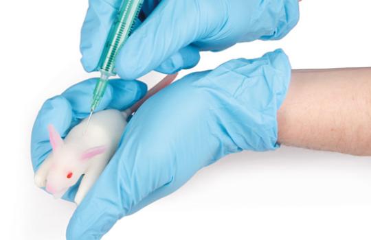 Souris modèle de simulation injection dos