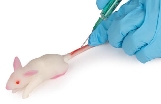 Souris modèle de simulation injection queue 