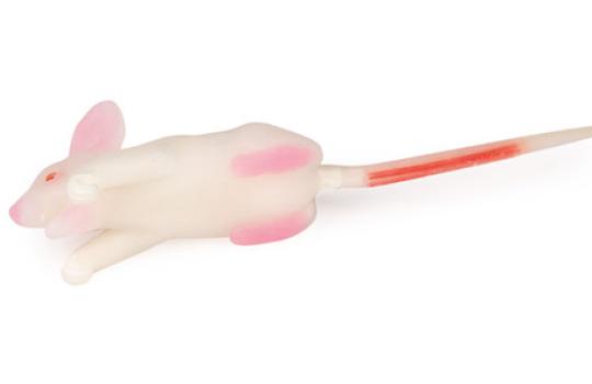 Souris modèle de simulation vue dessous