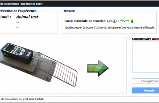 Application GTest expérience