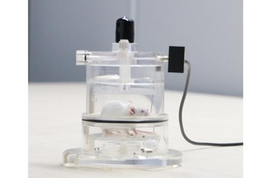 Pléthysmographe - chambre souris