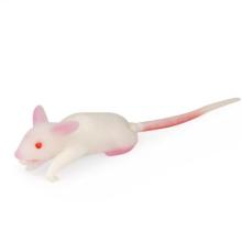 Souris modèle de simulation 