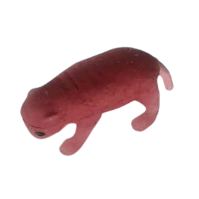 Simulateur de souris nouveau-née