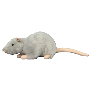 Peluche rat