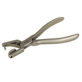 Poinçon auriculaire visuel